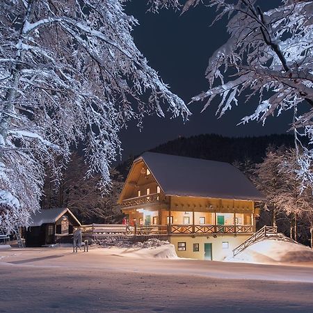 Brunarica Bohinj Bagian luar foto